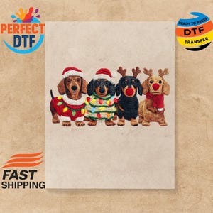 Op de afbeelding: Vier teckels in feestelijke kerstoutfits. Eén draagt een kerstmuts en een rode trui. Een ander draagt een kerstmuts en een trui met gekleurde lichtjes. De andere twee zijn verkleed als rendieren.