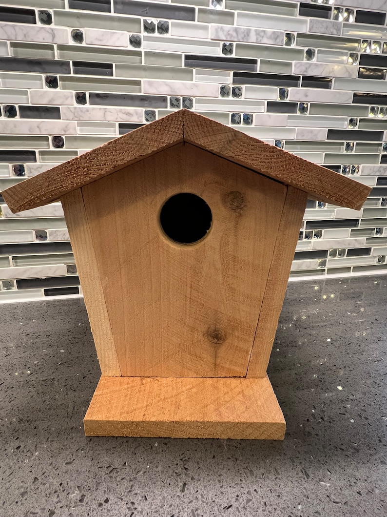 Cedar Birdhouse Plain - Etsy