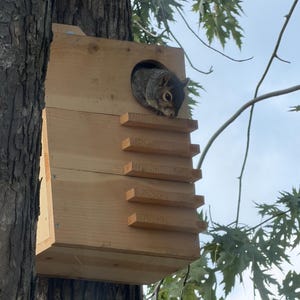 Squirrel House/Nesting Box with Inside Predator Guard