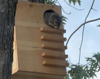 Handcrafted Cedar Squirrel House | Nesting Box with Predator Guard, Tree Mount