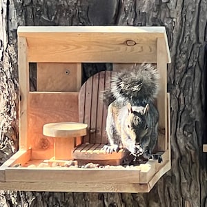 May include: A gray squirrel sits on a wooden bird feeder with a small wooden chair and a round wooden platform. The feeder is attached to a tree trunk.