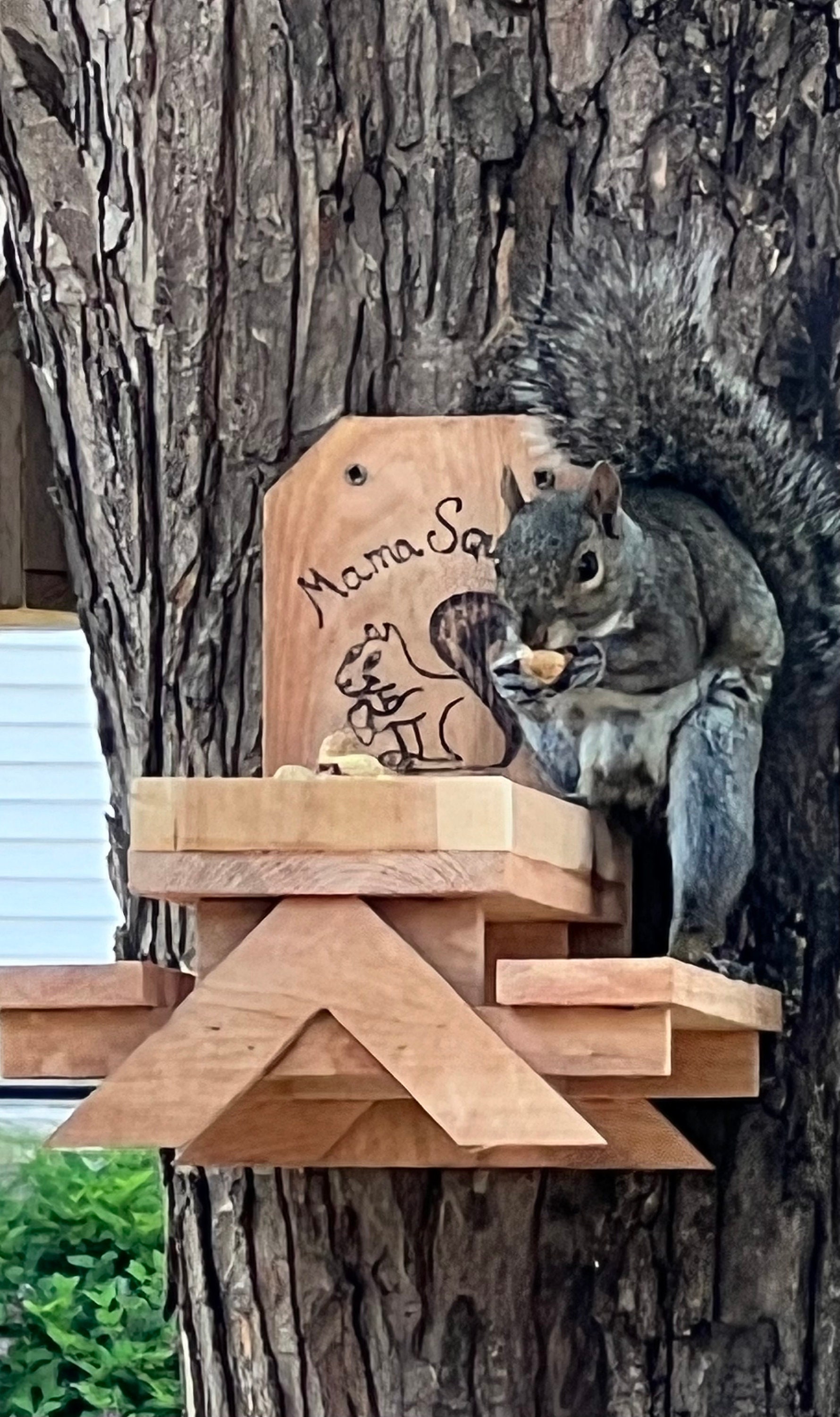 Squirrel/bird Feeder - Etsy