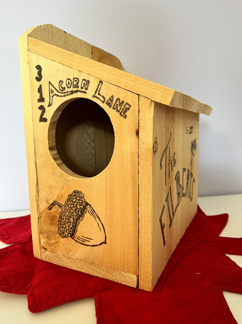 Squirrel House/nesting Box Etsy