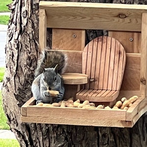 Squirrel/Bird Feeder
