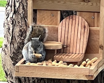 Squirrel/Bird Feeder