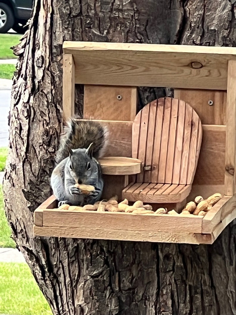 May include: A gray squirrel sits on a wooden platform and eats peanuts from a pile of peanuts. The platform has a small wooden chair and a small wooden table. The platform is attached to a tree trunk.