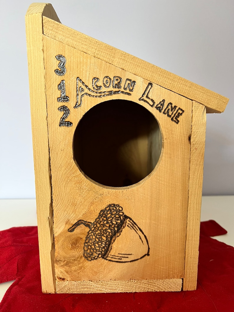 Squirrel House/nesting Box Etsy