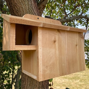 May include: A wooden birdhouse with a rectangular shape and a slanted roof is mounted on a tree trunk. The birdhouse has a circular entrance hole and a small perch. The natural wood color blends with the tree.