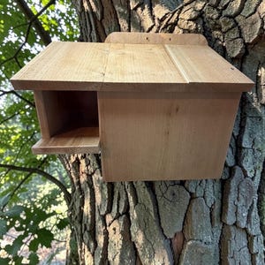 Handmade Cedar Squirrel House with Predator Guard | Rustic Wildlife Shelter, Tree Mount Nesting Box