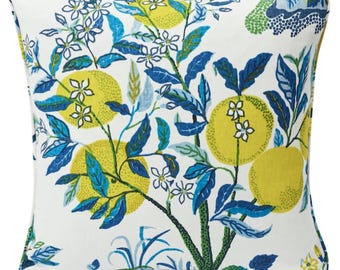 Citrus Garden Outdoor Pillow Cover in Pool Blue, Decorative Pillows, F Schumacher Textiles