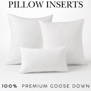 Premium 100% Down Pillow Inserts, Pillow Inserts - In Any Size, Insert for Pillow Covers + Cases, Decorative Pillows, Bedding Pillows