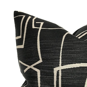 Abstract Pillow Cover in Black, Designer Pillow Covers, Decorative ...