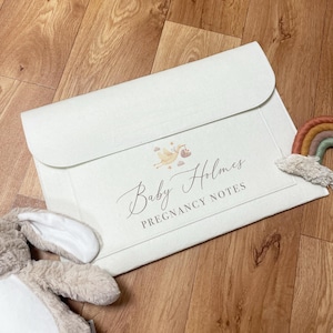 Può includere: Una cartella per appunti di gravidanza color crema chiaro con chiusura a patta. La cartella presenta il testo "Baby Holmes Pregnancy Notes" e una grafica di cicogna. Sono visibili un coniglietto di peluche e una decorazione arcobaleno.