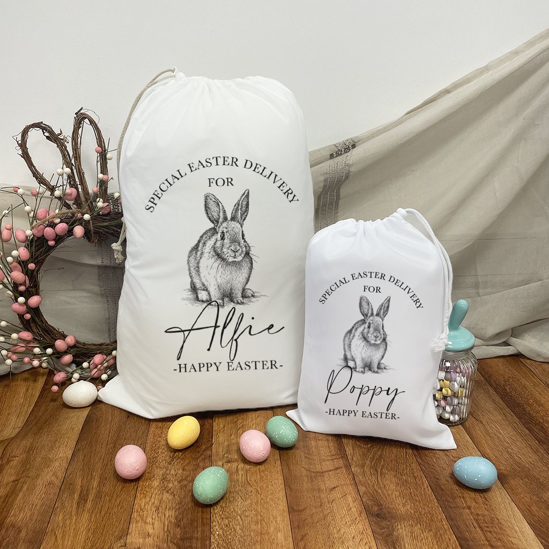 2 Pack Easter Bunny Basket for Kids Easter Hunt Bags Bunny Tote Bag for  Easter Eggs Candy Gifts Blue Pink  Amazonin Toys  Games