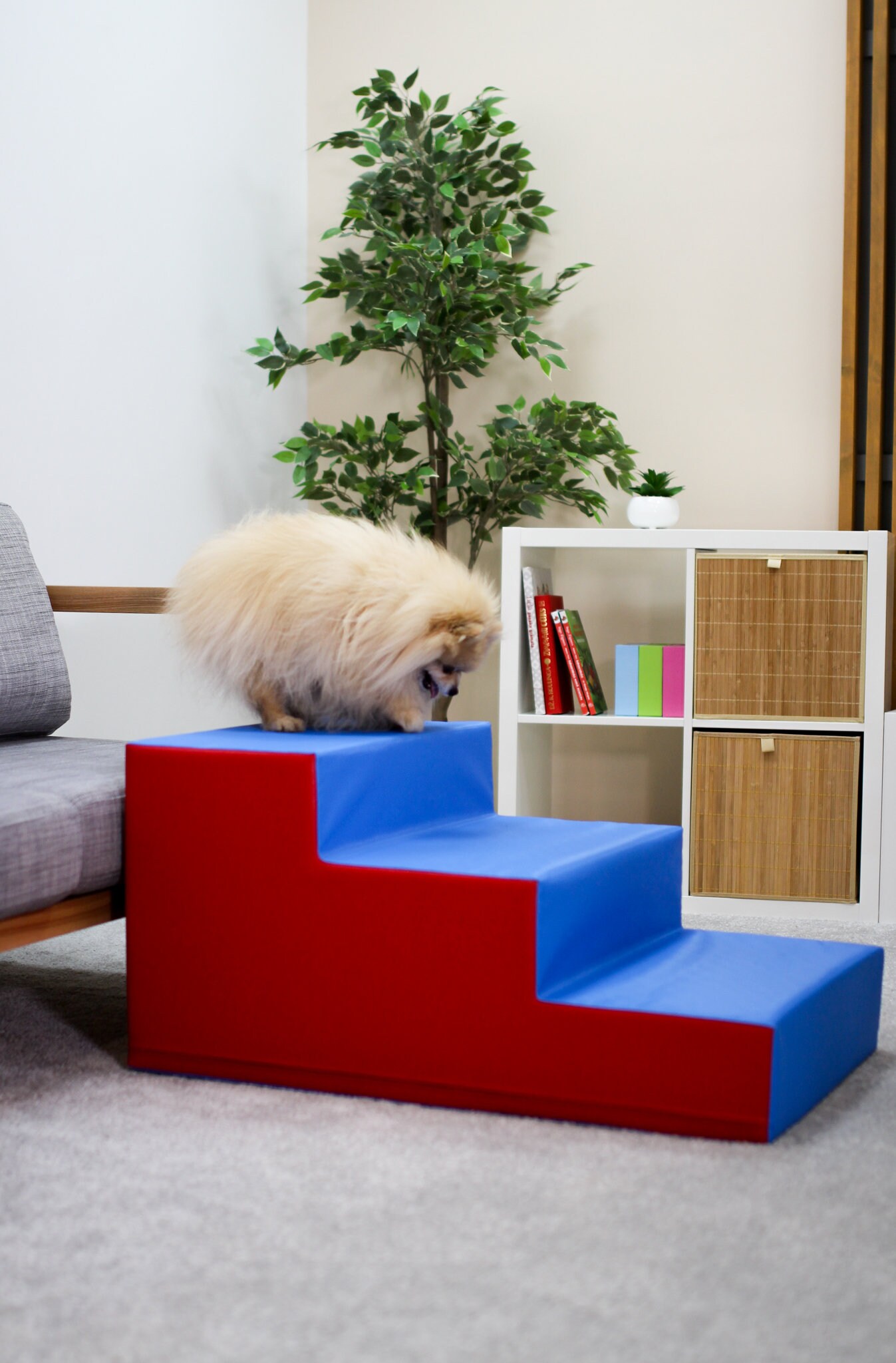 Dog Steps for Bed Pet Stairs DIY Dog DIY Cat Pet Steps for Etsy Canada