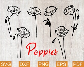 Free Free 286 Poppy Flower Svg Free SVG PNG EPS DXF File
