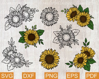 Download Ptkdp58xbslobm