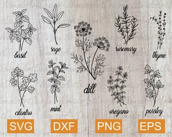 Download Herbs Svg Etsy
