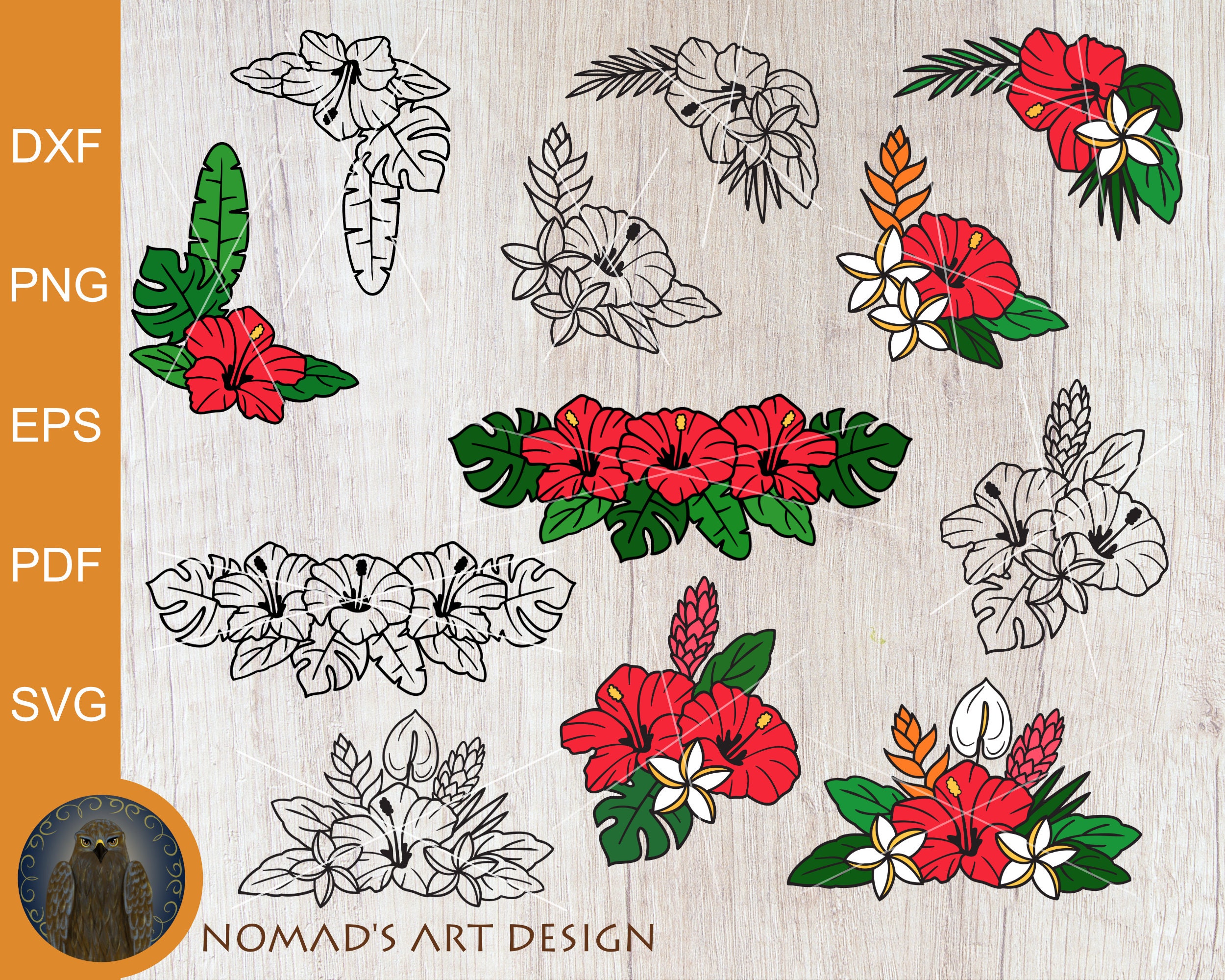 Tropical Svg Bundle Hibiscus Svg Flower Border Svg Tropical - Etsy