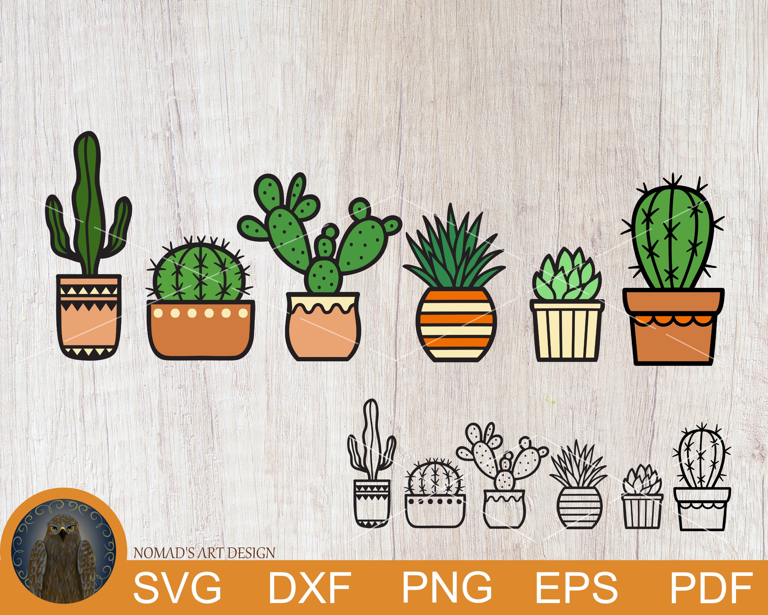 cactus and plant pots 9357097 PNG