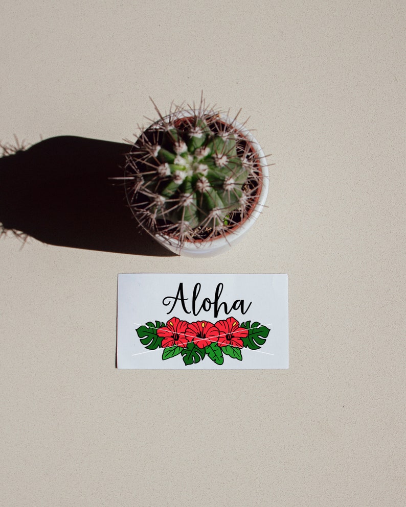 Tropical Svg Bundle Hibiscus Svg Flower Border Svg Tropical - Etsy