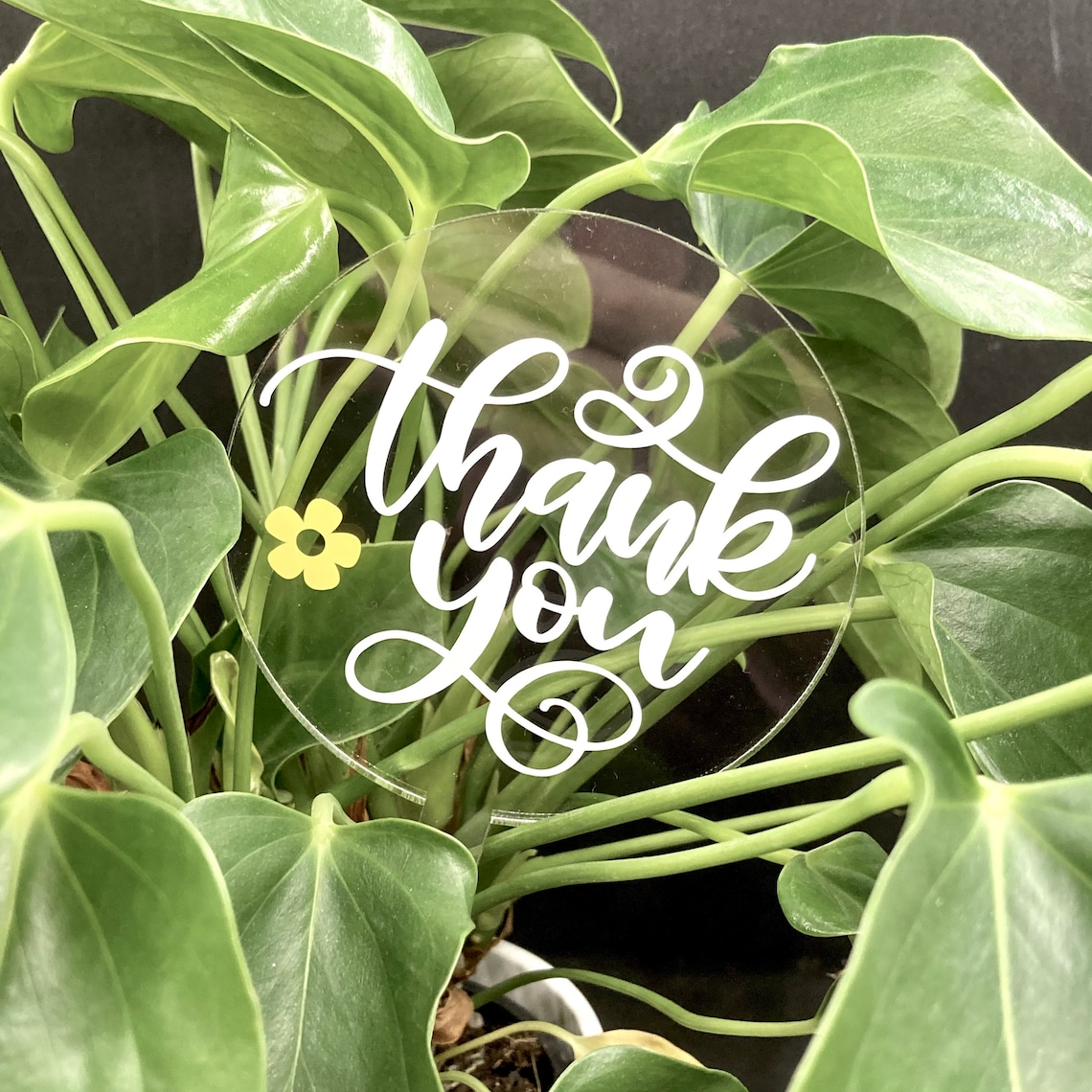 Thank You Plant Stake Pot Plant Stick Gift Planter Tag Etsy