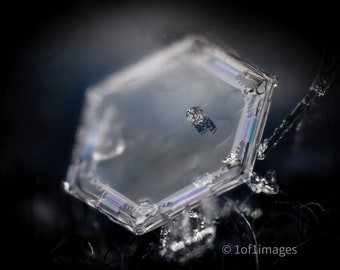 A real single snow crystal on blue fabric - 8x10 print in 11x14 white double mat.