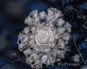 A real single snow crystal on blue fabric - 8x10 print in 11x14 white double mat.