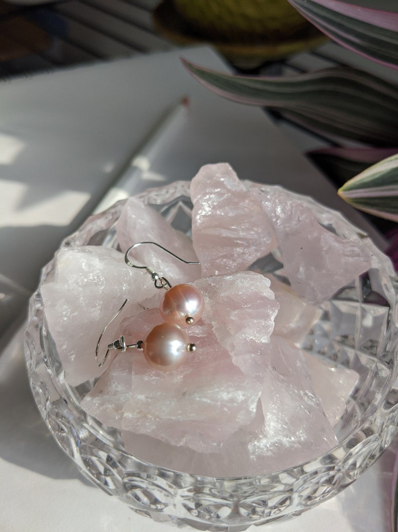 Wholesale Online Erigeron Dainty Pink Pearl Earrings Freshwater Baroque Pearl 925 Sterling Silver Anniversary Birthday Mother S Day Gift Blessed Cheap Clearance On Sale Www 3dparadesignerspro Com