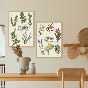 Set of 2 A3 plant and nature posters, customizable Provence herbs, light background