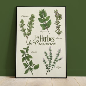 A3-Poster Aromatische Kräuter der Provence mit hellem Hintergrund