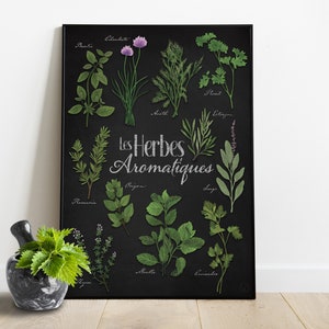A3-Poster Aromatische und kulinarische Kräuter mit dunklem Hintergrund