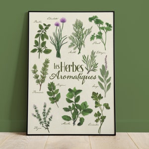 A3-Poster mit aromatischen und kulinarischen Kräutern, hellem Hintergrund