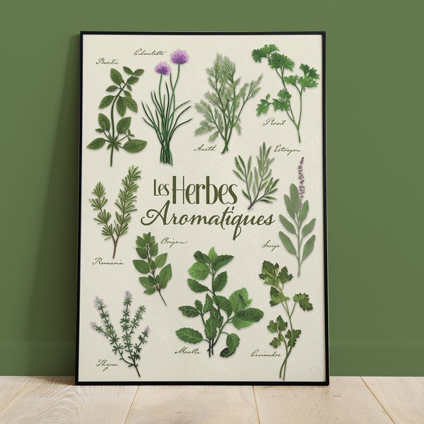 Affiche A3 Herbes Aromatiques et culinaires fond clair