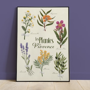 A3 poster plants and nature of Provence customizable light background