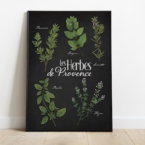 Póster A3 Hierbas aromáticas de Provenza