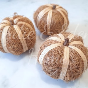 Natural Pumpkins - Pumpkin Set - Halloween Decoration - Autumn Decor - Pumpkin Decor - Pumpkin Ornament - Autumnal - Fall Home Decor -