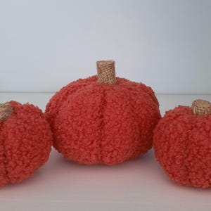 Borg Kürbisse - Kürbis Set - Halloween Dekoration - Herbst Dekor - Kürbis Dekor - Kürbis Ornament - Herbstlich - Herbst Wohn Dekor - Flauschig