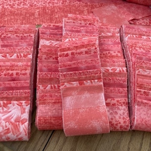 21-263 - Coral Blends  - 2.5 inch strips  - Layer Pack - 2 of each of 10 for total of 20 Strips per roll