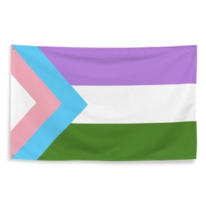 May include: A genderqueer pride flag with a pink, light blue, and white chevron on a purple, white, and green background.