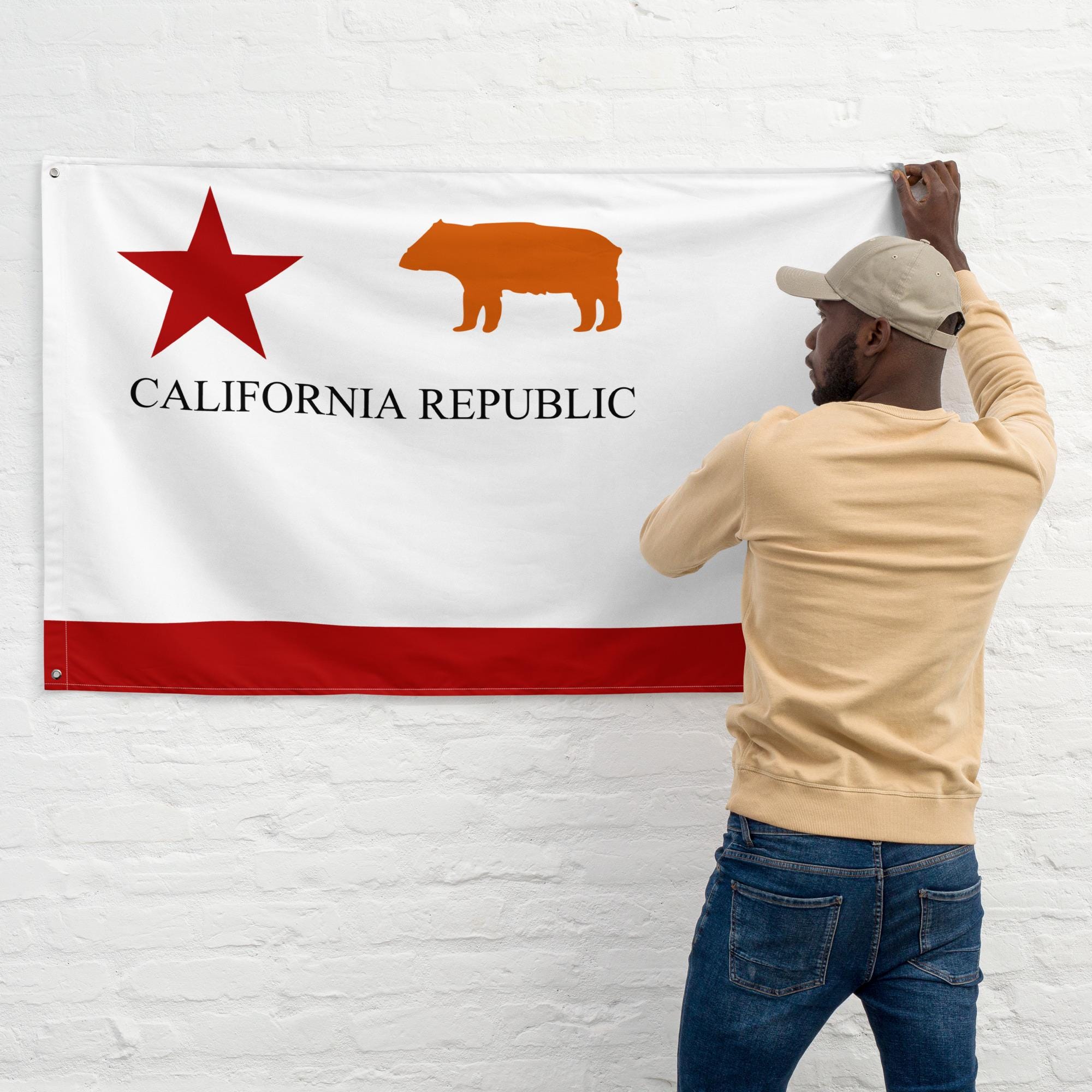 その他 STANDARD CALIFORNIA KOMY ART FLAG STANDARD CALIFORNIA KOMY ART FLAG