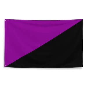 May include: A rectangular flag divided diagonally from the bottom left to the top right corner. The upper left section is a solid vibrant purple, while the lower right section is a solid deep black. The flag features two metal grommets on the left side.