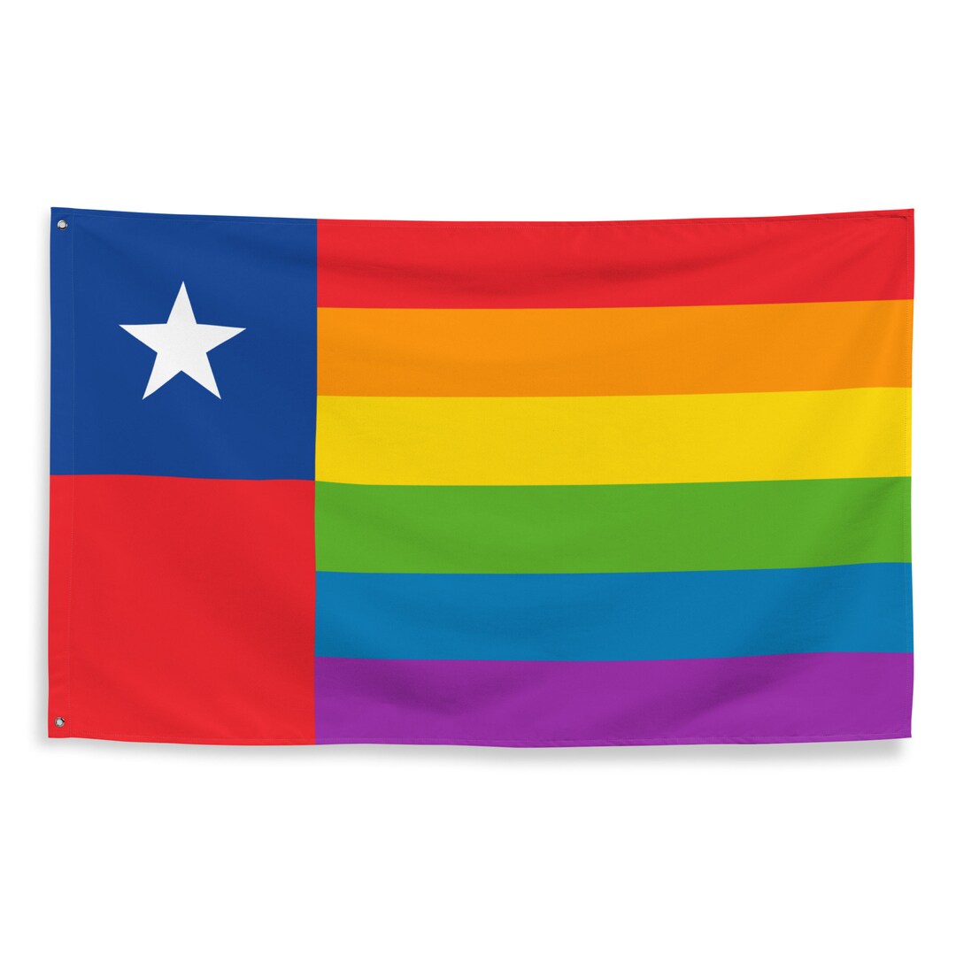 Chile LGBT Pride Flag 3x5 Etsy