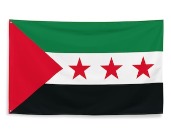 Palestine Syrian Opposition Arab Flag 3x5