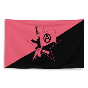 Queer Anarchist TQILA Flag