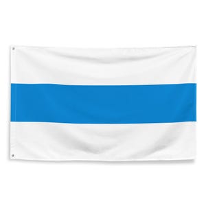 Russian Anti-War Movement Flag 3x5 | Russia Ukraine Peace White Blue White Banner