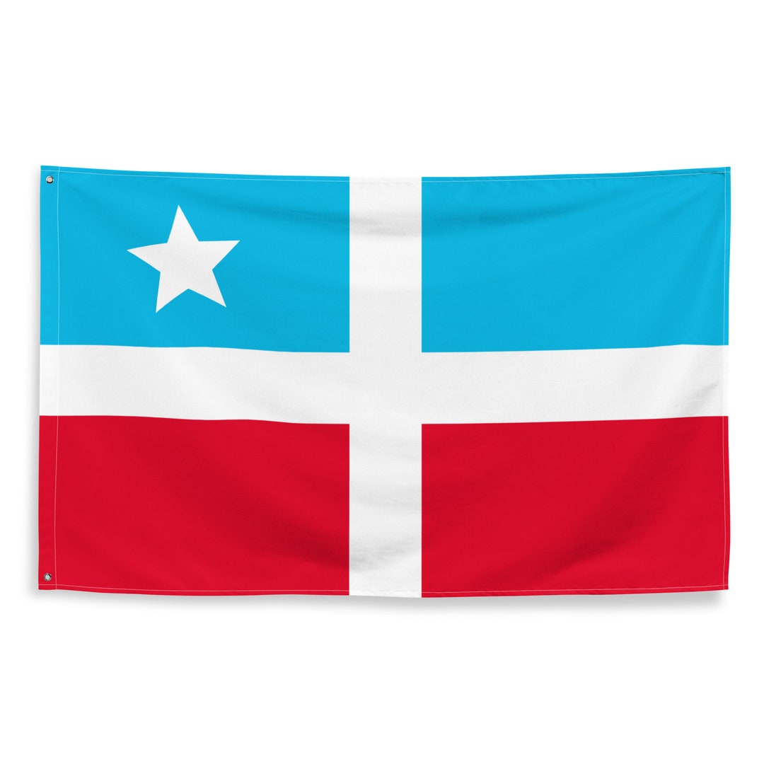 Puerto Rican El Grito De Lares Flag Bandera De El Grito De Lares Etsy