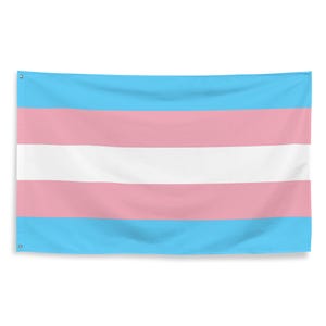 May include: A transgender pride flag with horizontal stripes of light blue, pink, and white. The flag is made of fabric and has a slight wave to it.