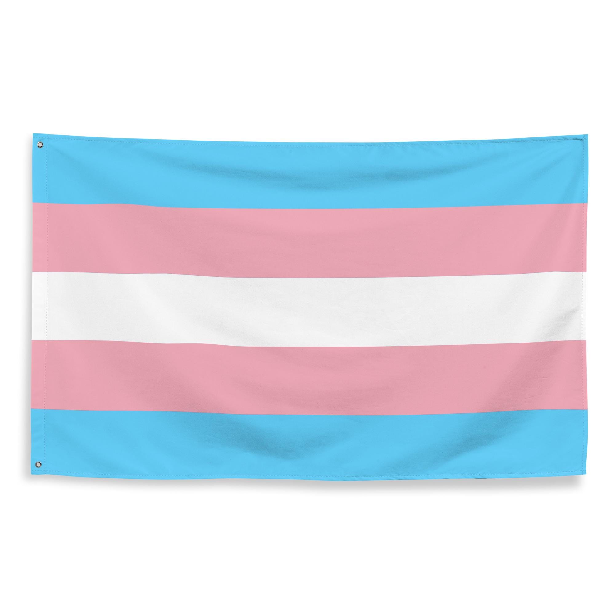 Anley Bandera de Palo transgénero, Transgender Mini Bandera de Mano de