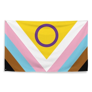 Progress Pride Chevron Flag 3x5 | LGBT Rainbow Intersex Banner